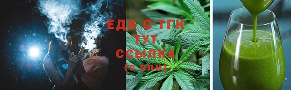 гидра Ельня