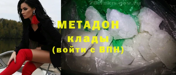 гидра Ельня