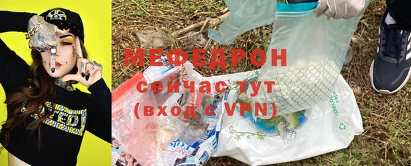 гидра Ельня