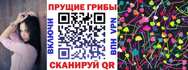 kraken зеркало  Воткинск  Псилоцибиновые грибы мицелий 